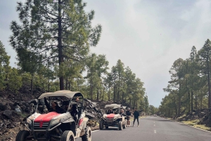 Teneriffa: Teide National Park und Vulkan Buggy Tour