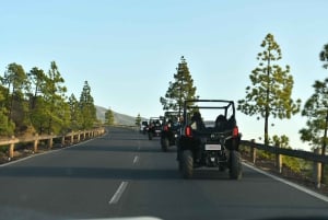 Teneryfa: Wycieczka z przewodnikiem po górze Teide buggy z napojem