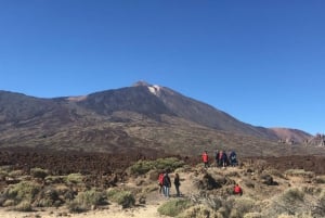 Tenerife: Teide National Park Buggy Tour with Hotel Transfer