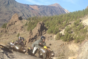 Tenerife: Teide National Park Day or Sunset Tour on Quads