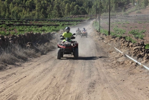 Tenerife: Teide National Park Day or Sunset Tour on Quads