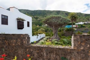 Tenerife: Teide National Park Full-Day Scenic Tour
