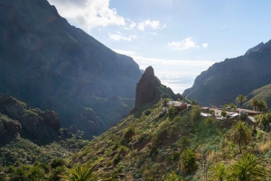 Tenerife: Excursión de un día al Parque Nacional del Teide con recogida