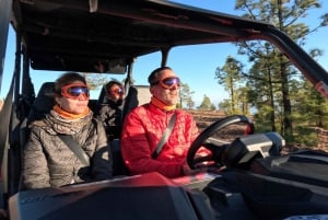 Tenerife: Teide National Park Guided Buggy Tour