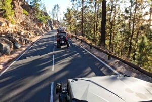 Tenerife: Teide National Park Guided Buggy Tour
