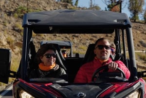 Tenerife: Teide National Park Guided Buggy Tour