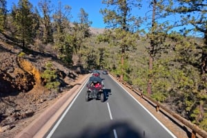 Tenerife: Teide National Park Guided Buggy Tour
