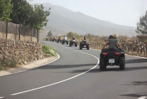 Tenerife: Teide National Park Day or Sunset Tour on Quads