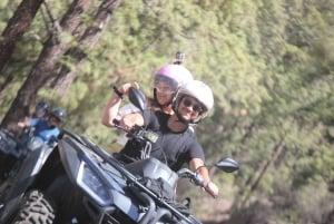 Tenerife: Teide National Park Day or Sunset Tour on Quads