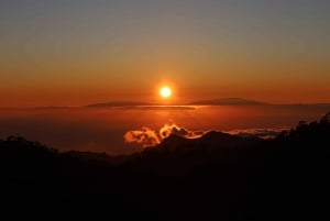 Tenerife: Quad Sunset Volcano Teide with Local Tapas