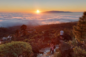Tenerife: Teide National Park Sunset & Stargazing Tour