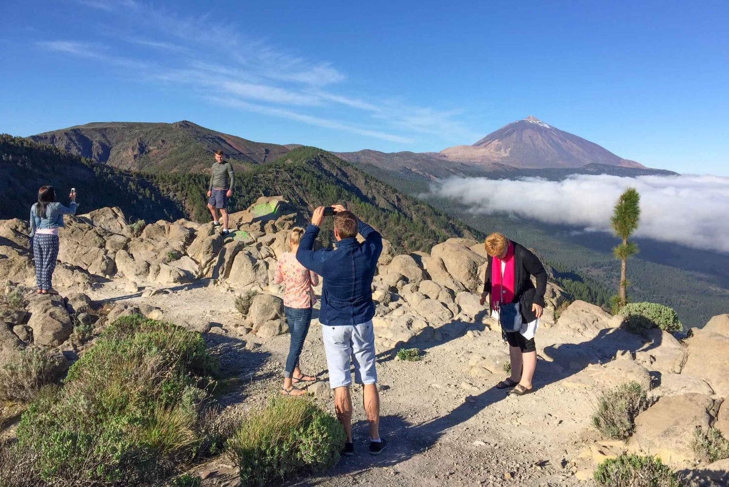 Tenerife: tour privato del Parco Nazionale del Teide e del Parco Rurale di Teno