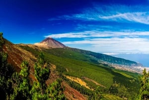 Tenerife: Teide National Park & Teno Rural Park Private Tour
