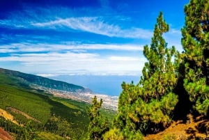 Tenerife: tour privato del Parco Nazionale del Teide e del Parco Rurale di Teno