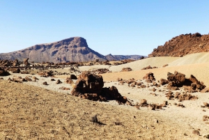 Tenerife: tour privato del Parco Nazionale del Teide e del Parco Rurale di Teno