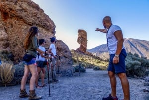 Tenerife: tour privato del Parco Nazionale del Teide e del Parco Rurale di Teno