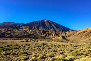 Tenerife: tour privato del Parco Nazionale del Teide e del Parco Rurale di Teno