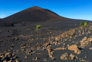 Tenerife: tour privato del Parco Nazionale del Teide e del Parco Rurale di Teno