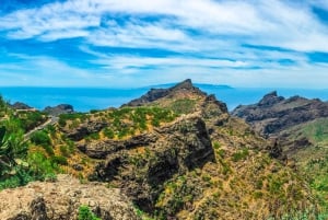 Tenerife: tour privato del Parco Nazionale del Teide e del Parco Rurale di Teno
