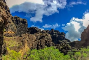 Tenerife: tour privato del Parco Nazionale del Teide e del Parco Rurale di Teno
