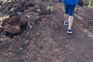 テネリフェ：テイデ国立公園ツアー（写真撮影＆ハイキング付き）