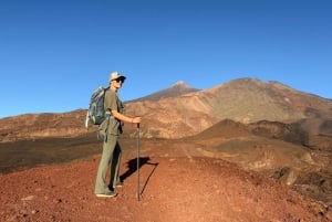 テネリフェ：テイデ国立公園ツアー（写真撮影＆ハイキング付き）