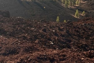 テネリフェ：テイデ国立公園ツアー（写真撮影＆ハイキング付き）