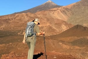 テネリフェ：テイデ国立公園ツアー（写真撮影＆ハイキング付き）
