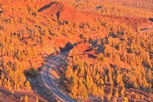 テネリフェ：テイデ国立公園ツアー（写真撮影＆ハイキング付き）