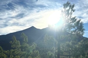 テネリフェ：テイデ国立公園ツアー（写真撮影＆ハイキング付き）