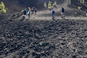 テネリフェ：テイデ国立公園ツアー（写真撮影＆ハイキング付き）