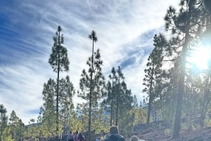 テネリフェ：テイデ国立公園ツアー（写真撮影＆ハイキング付き）