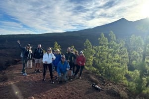テネリフェ：テイデ国立公園ツアー（写真撮影＆ハイキング付き）
