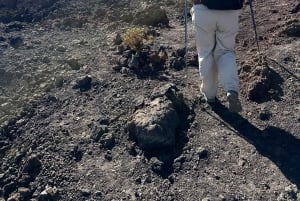 テネリフェ：テイデ国立公園ツアー（写真撮影＆ハイキング付き）