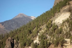 Tenerife: Teide Park Quad Bike Tour+offroad