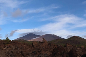 Tenerife: Teide Quad to Mount Teide Islands View