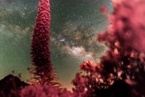 Tenerife: Observación de las estrellas del Teide con un astrofísico