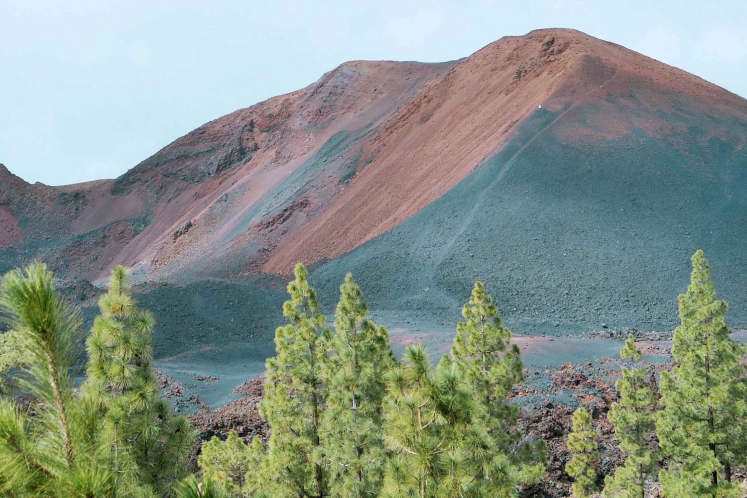Tenerife: Teide Volcano and North of the Island VIP Tour