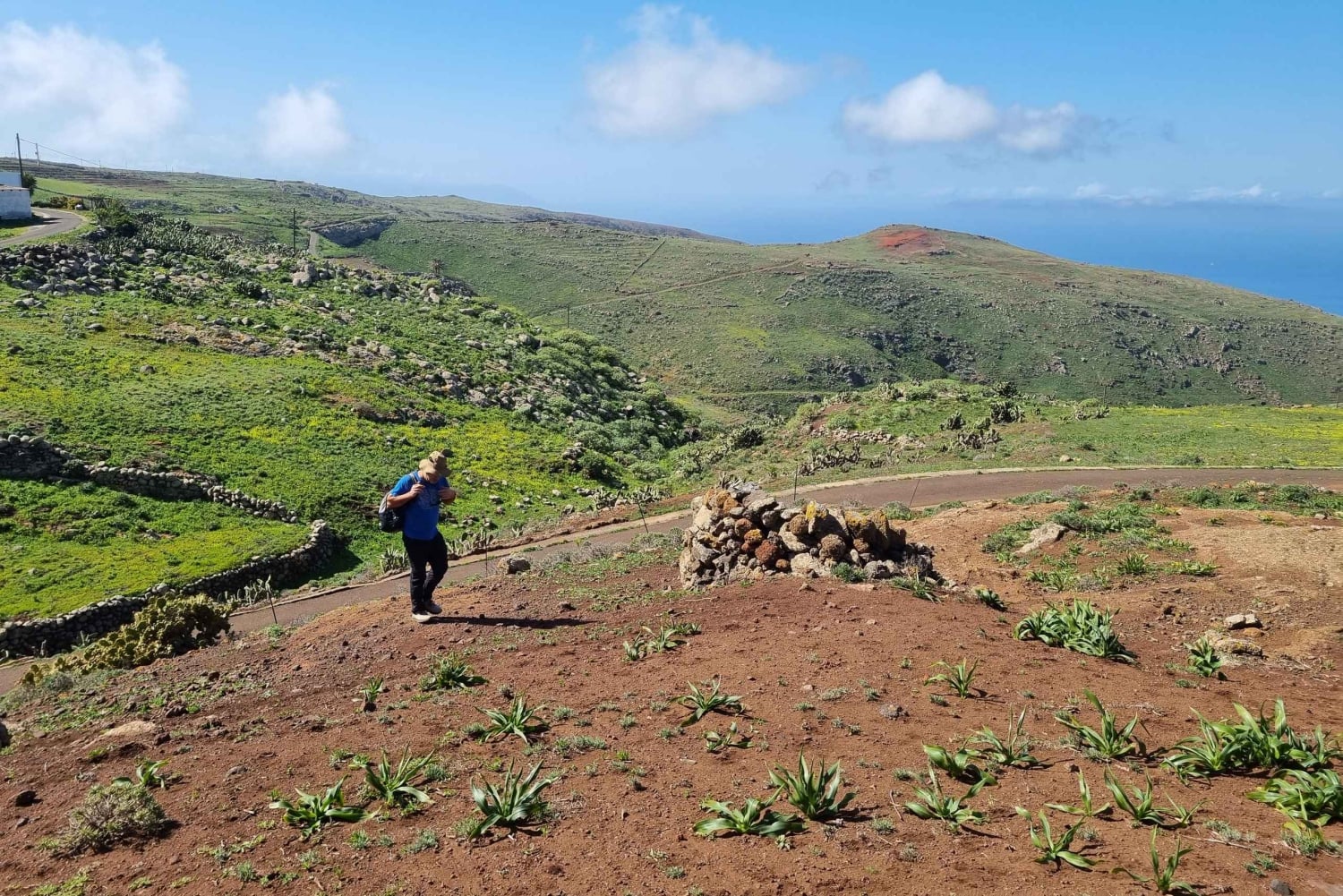 Tenerife: Teno & Lunar Scenery Guided Hike + Canarian Food