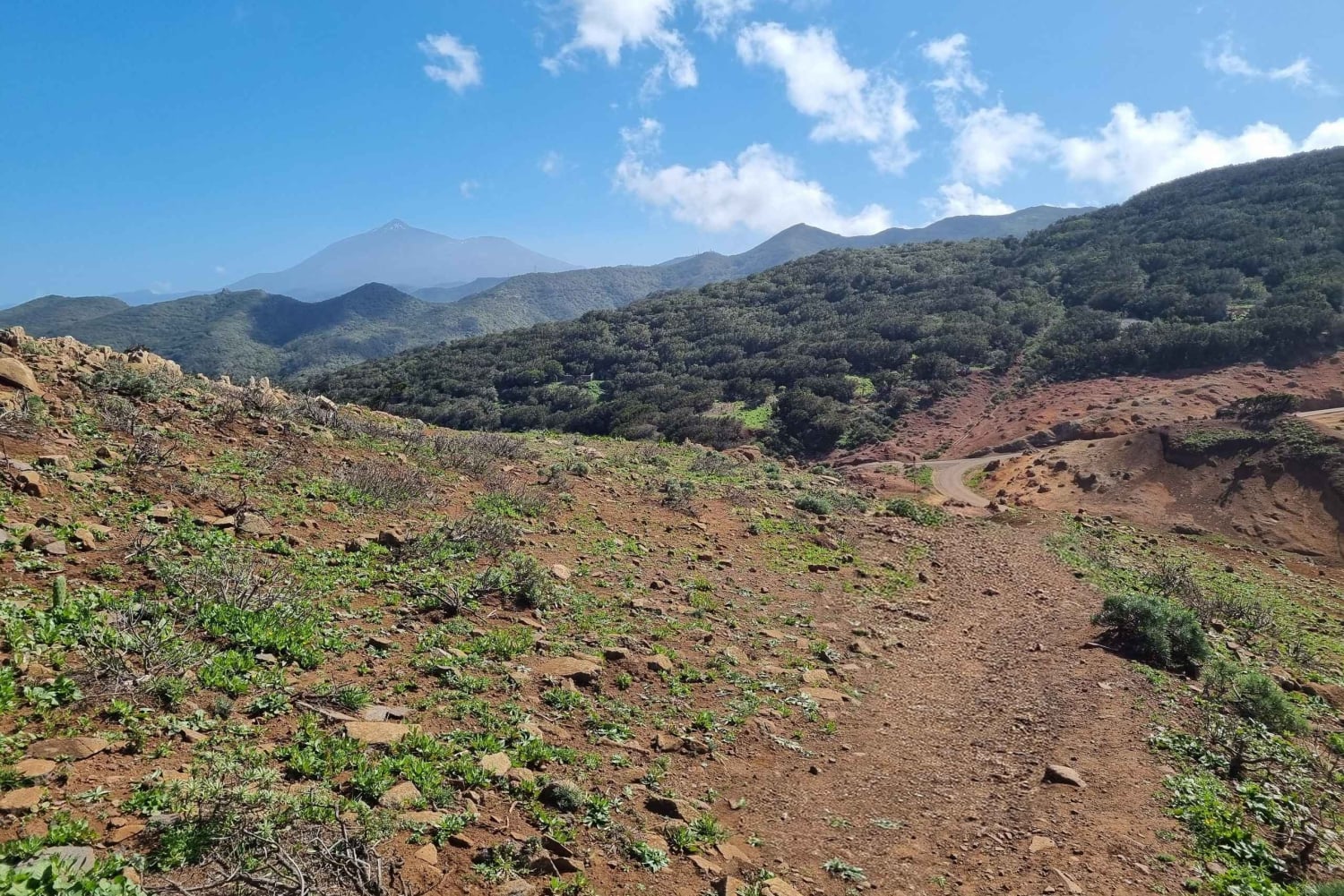 Tenerife: Teno & Lunar Scenery Guided Hike + Canarian Food