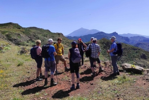 Tenerife: Teno & Lunar Scenery Guided Hike + Canarian Food