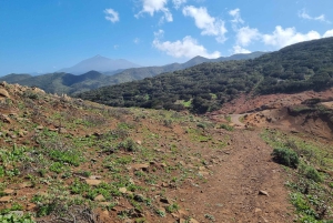 Tenerife: Teno & Lunar Scenery Guided Hike + Canarian Food