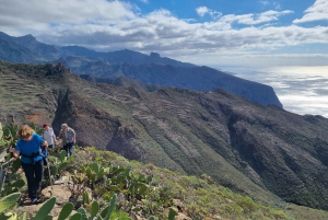 Tenerife: Teno & Lunar Scenery Guided Hike + Canarian Food