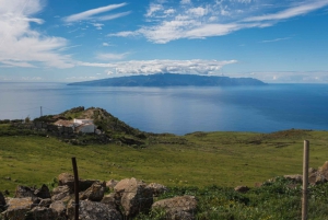 Tenerife: Teno & Lunar Scenery Guided Hike + Canarian Food