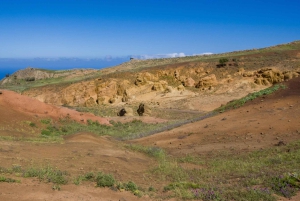 Tenerife: Teno & Lunar Scenery Guided Hike + Canarian Food