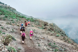 Tenerife: Teno & Lunar Scenery Guided Hike + Canarian Food