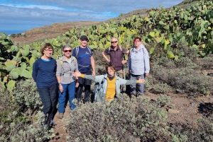 Tenerife: Teno & Lunar Scenery Guided Hike + Canarian Food