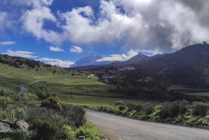 Tenerife: Teno & Lunar Scenery Guided Hike + Canarian Food