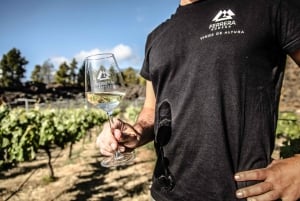 Tenerife: Tour of an Organic Vineyard with Tasting & Snacks