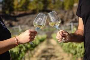 Tenerife: Tour of an Organic Vineyard with Tasting & Snacks